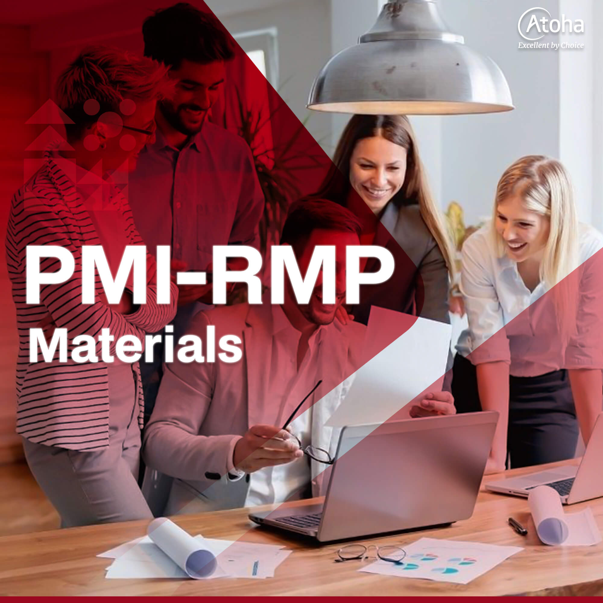 PMI-RMP Materials