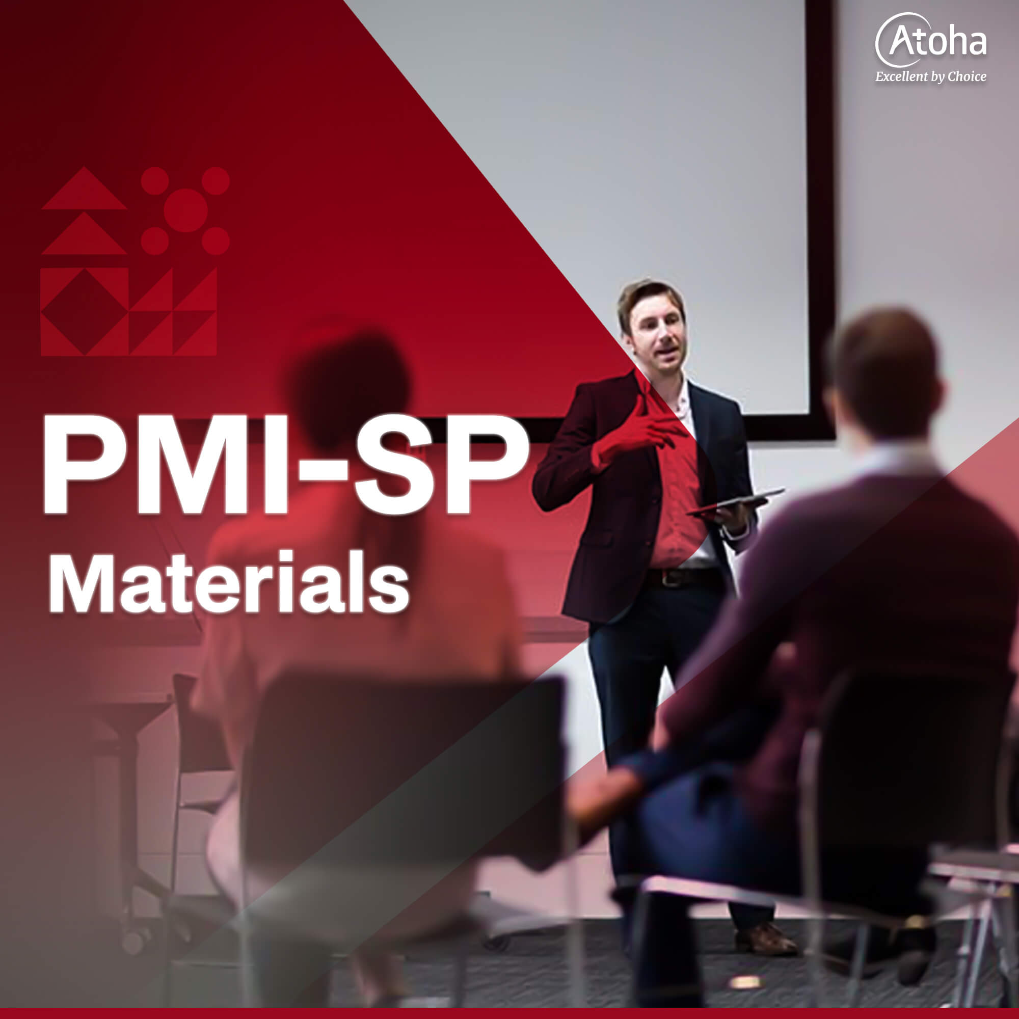 PMI-SP Materials