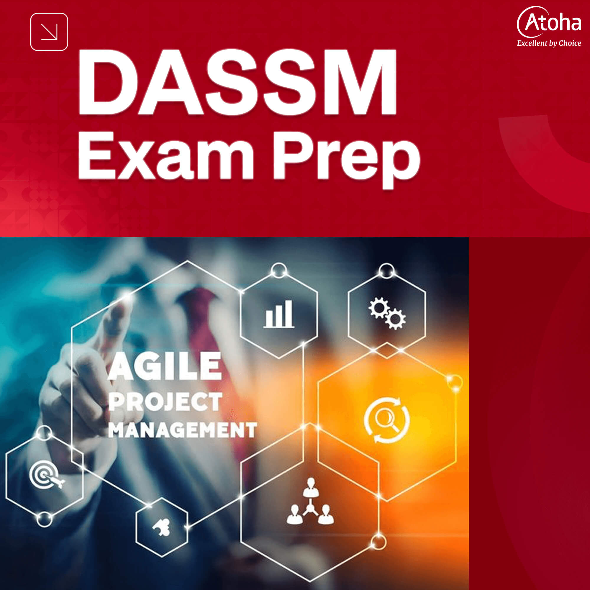 DASSM Exam Prep - Disciplined Agile Senior Scrum Master Exam Prep