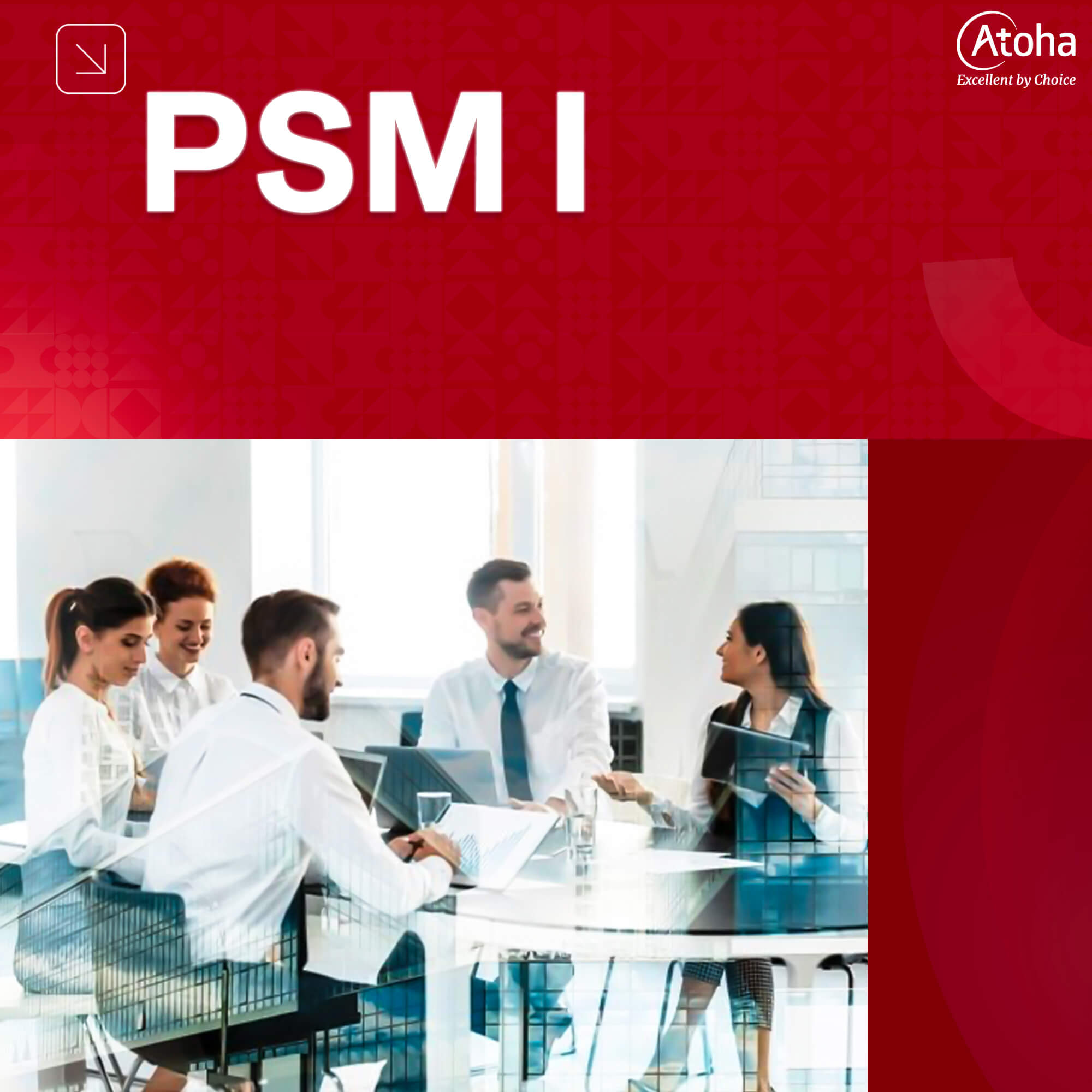 PSM I - Professional Scrum Master I