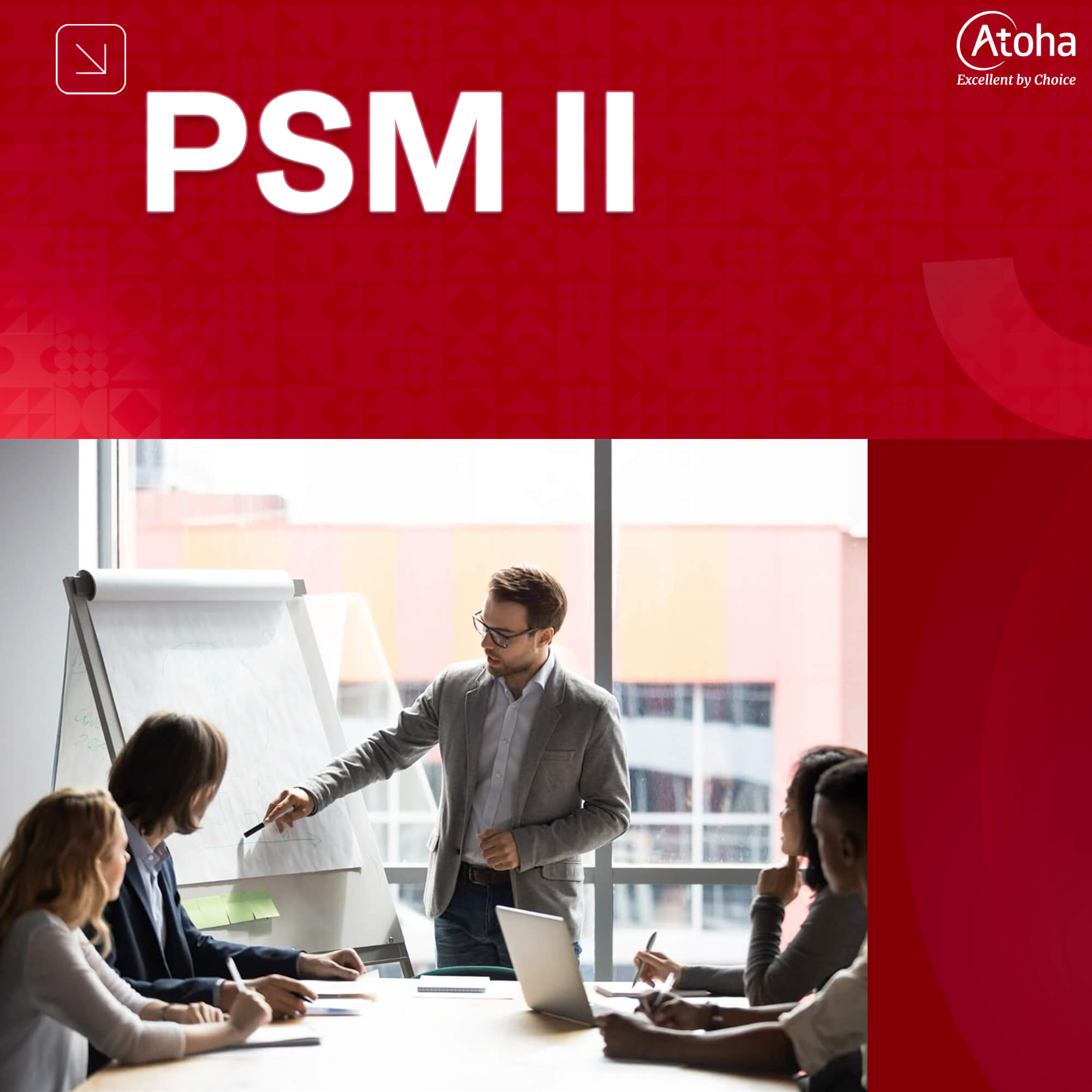 PSM II - Professional Scrum Master II