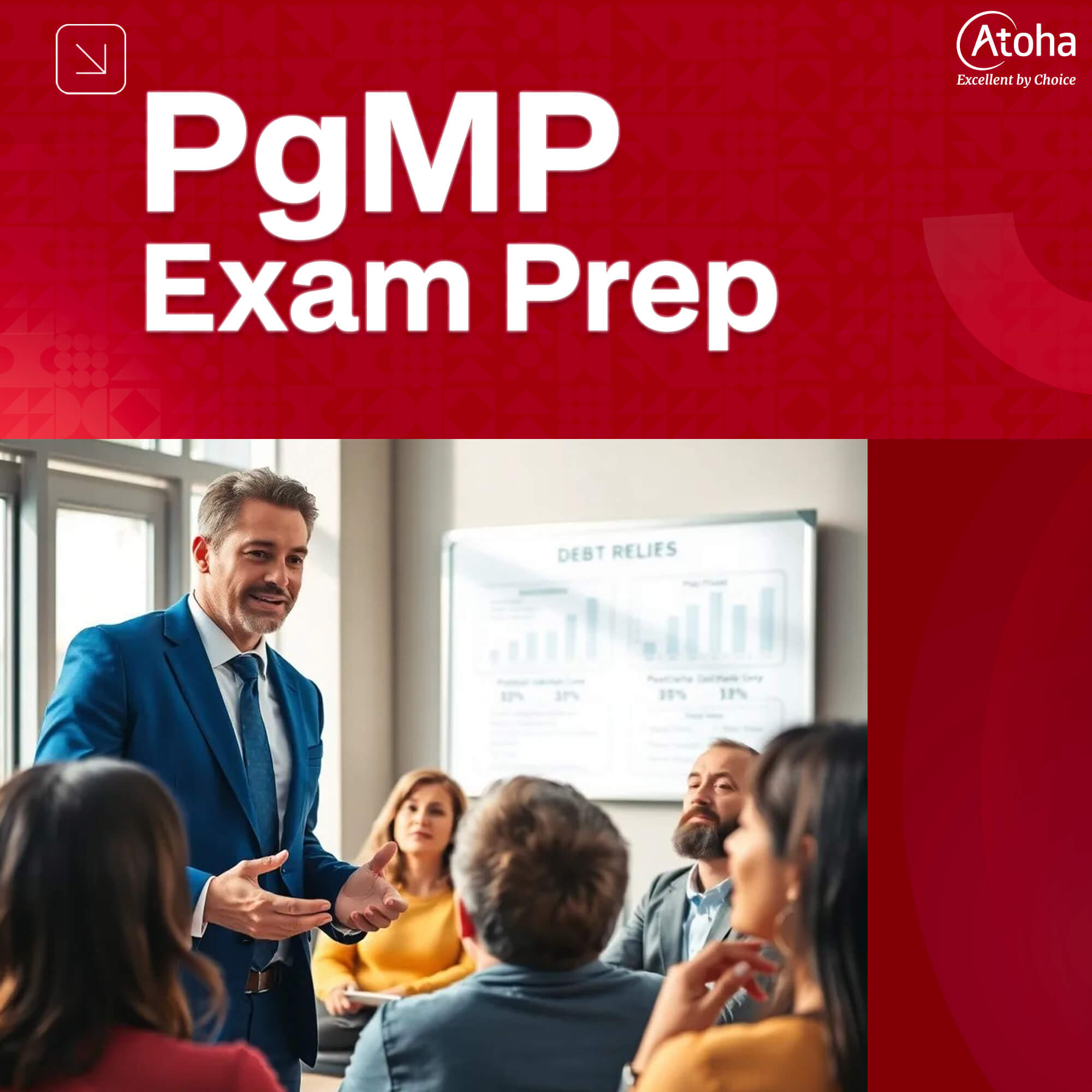 PgMP Exam Prep - Program Management Professional